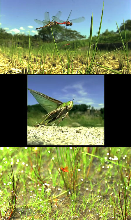 動画累計10万ビュー達成