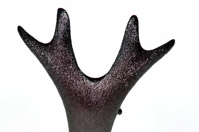 カブトムシの角