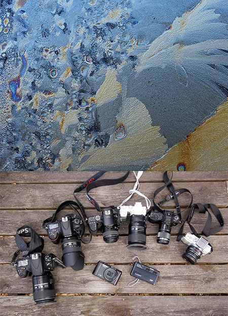 今年使ったカメラ