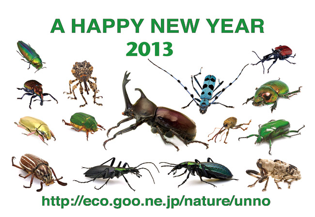 あけましておめでとうございます