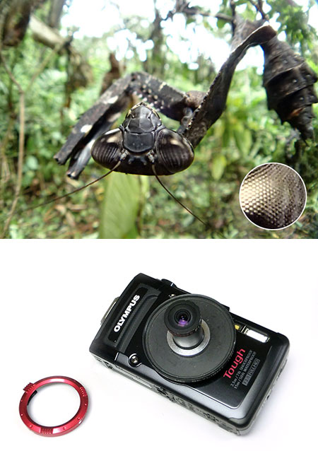 TG-2に魚露目8号をつける