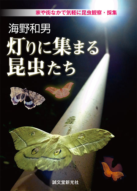 灯りに集まる昆虫たち