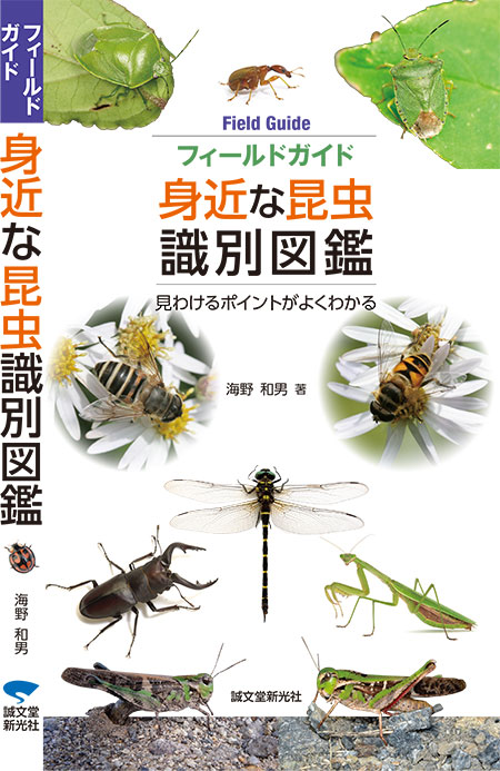 フィールドガイド 身近な昆虫識別図鑑