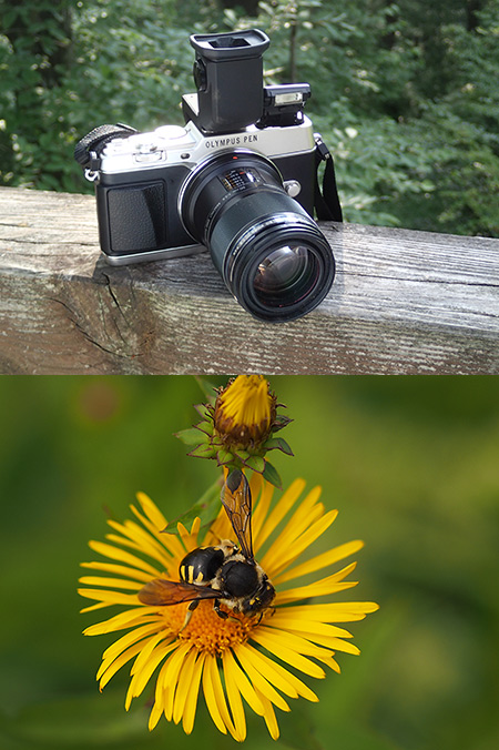 Ｅ−Ｐ５を使ってみる