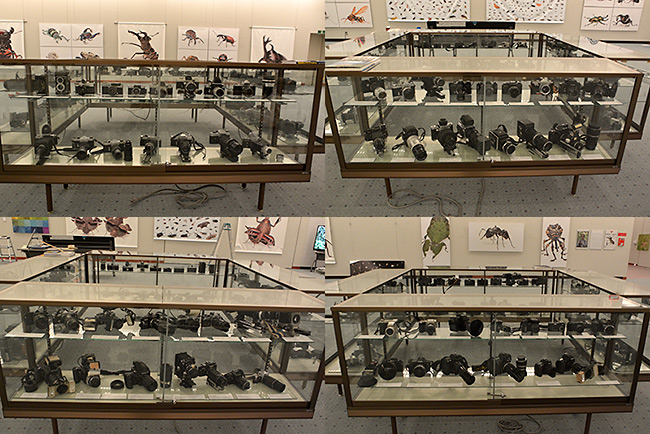 マクロ撮影用機材を展示