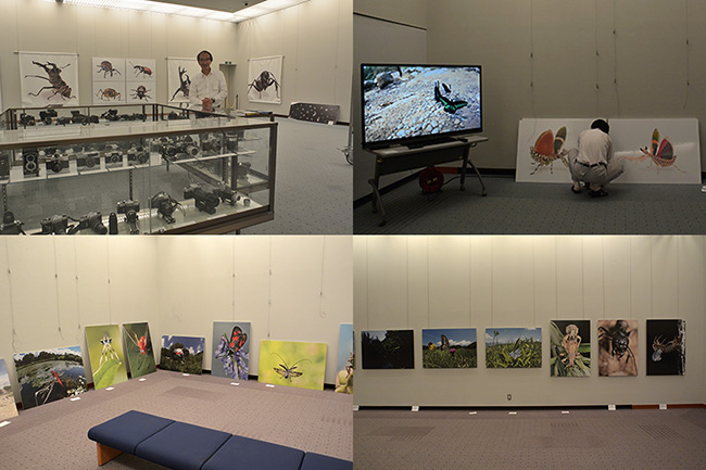 写真展の展示内容