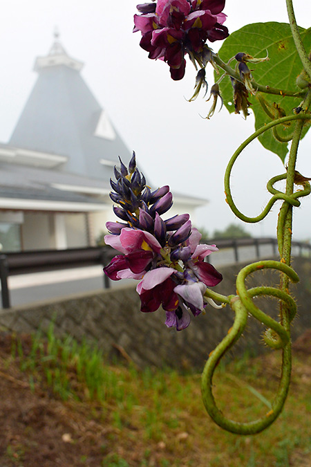 小諸高原美術館での写真展終了