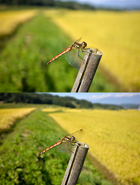 Coolpix Aを使って見た