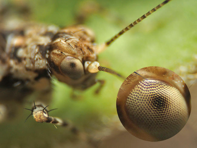 改造マクロに自作テレコンを使って見た