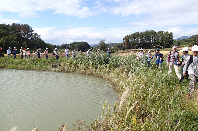 小諸で自然観察