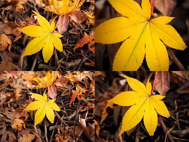 12-40の最短距離