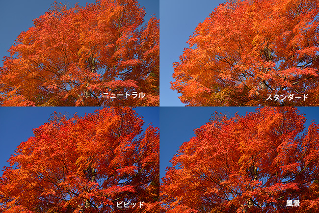 D610のピクチャーコントロール