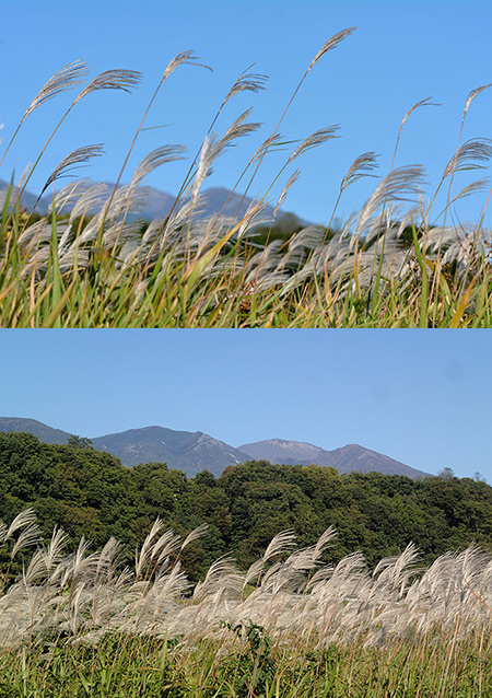 コンデジと一眼レフで風景を