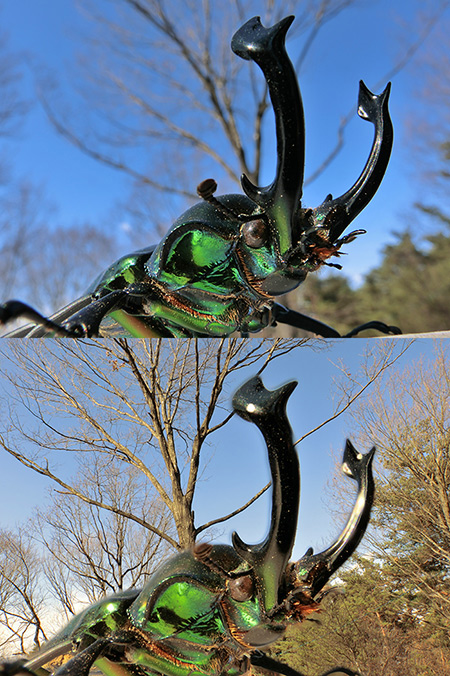 EX-10マクロモードでの深度合成