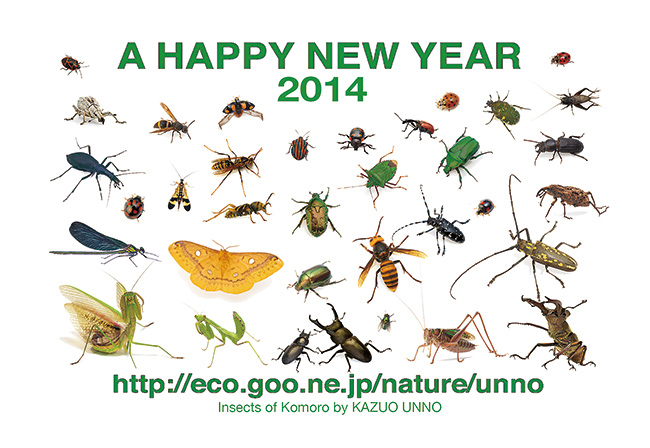 あけましておめでとうございます