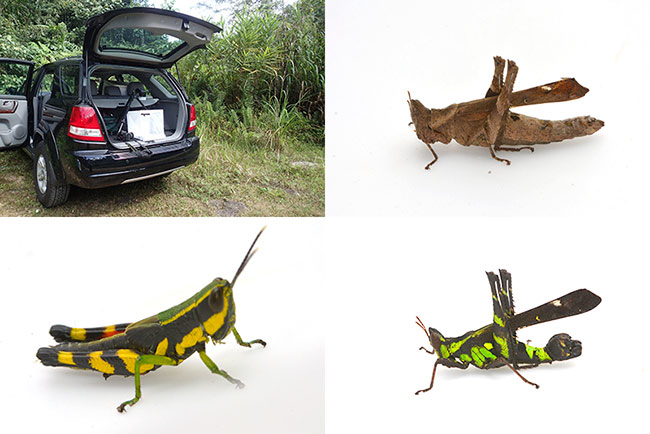 白バック写真の撮り方