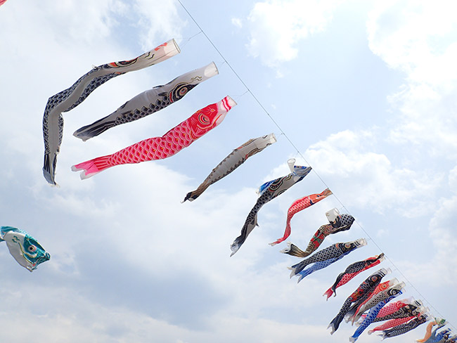 鯉のぼり