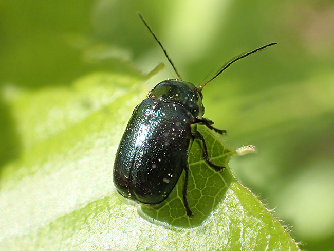 深度合成の失敗