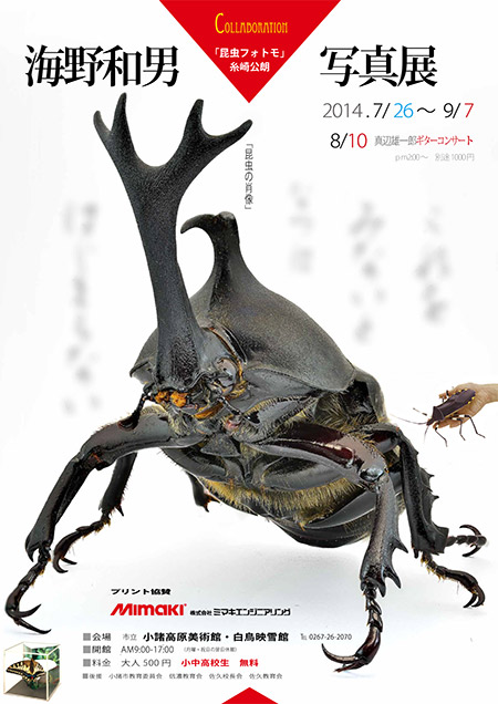 写真展「昆虫の肖像」