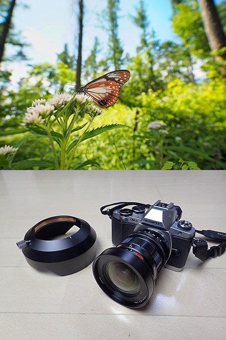 マイクロフォーサーズ用超広角レンズ