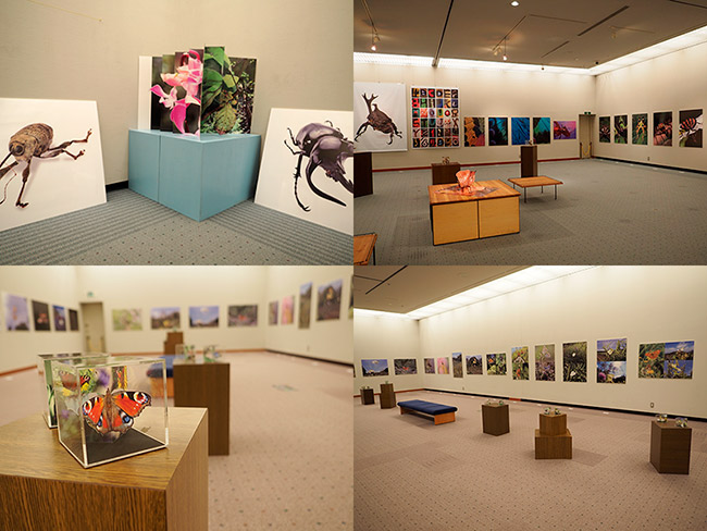 小諸高原美術館で飾り付け