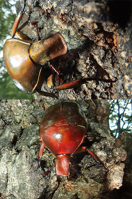小諸で写真展開催間近