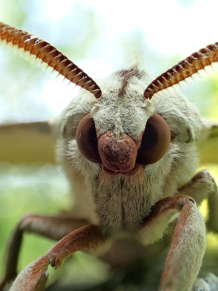 Kindle版電子書籍