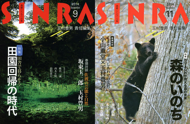 シンラとライフスケープ