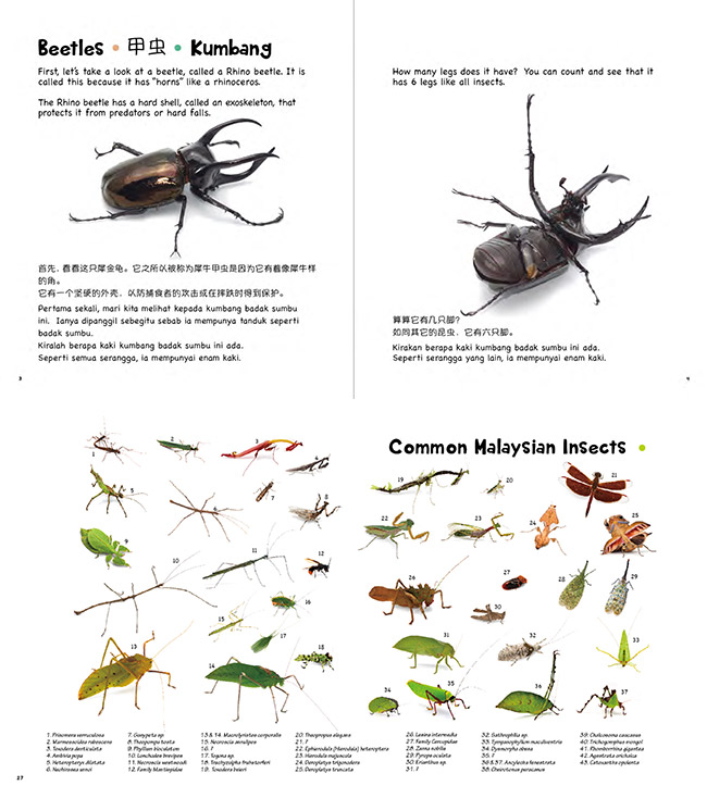 今日からマレーシア