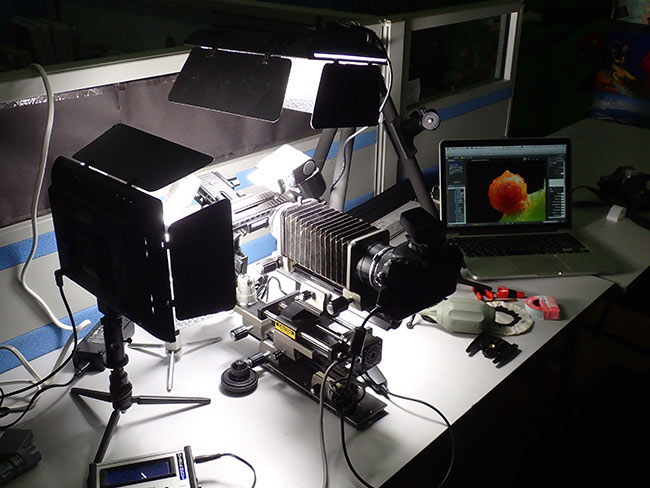 LEDライトを使って撮影