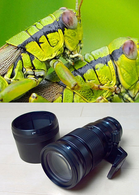 40-150mm F2.8 PROとLYTRO ILLUM