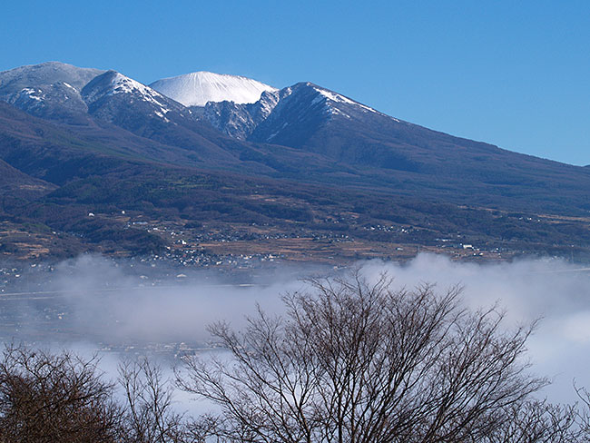 オリンパスブルー