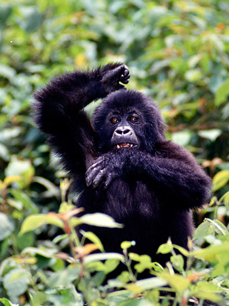 今年も御世話になりました