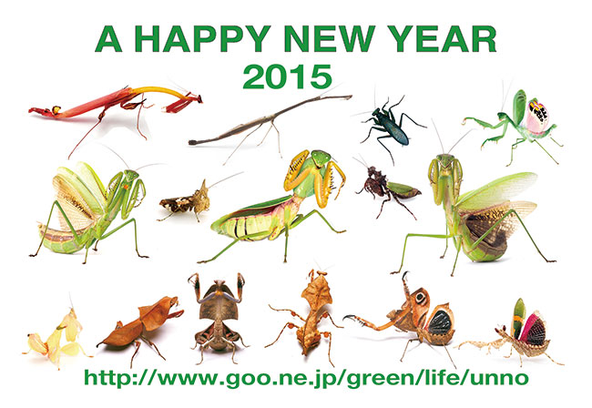 あけましておめでとうございます