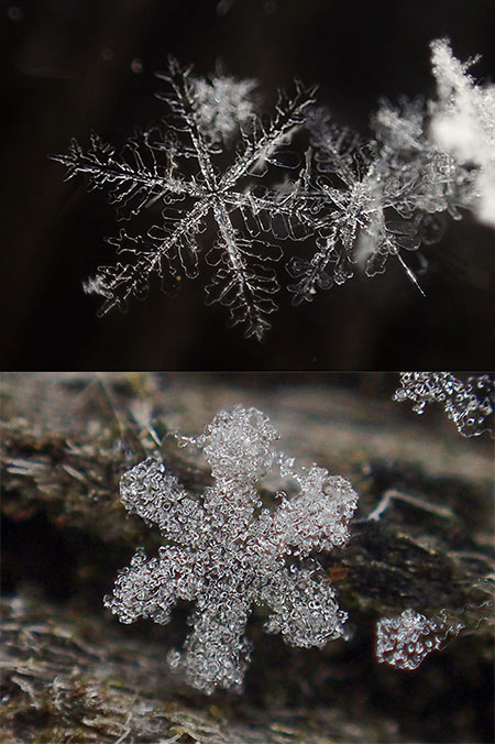 雪の結晶を撮る