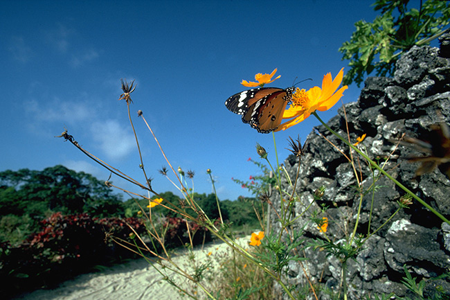 あっという間の35年