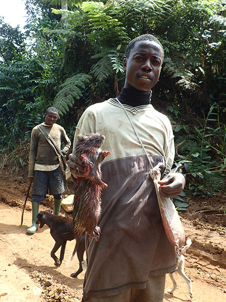 カメルーンの大ネズミ