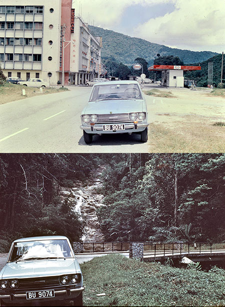 カメロンハイランド、タナラタ1969