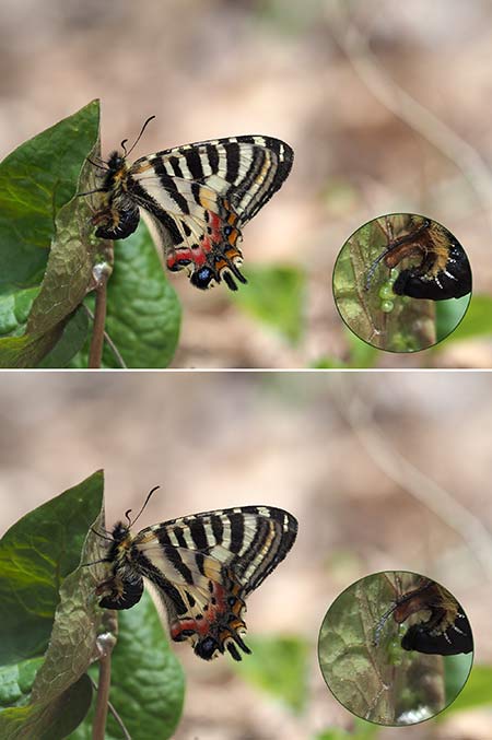ストロボの効用