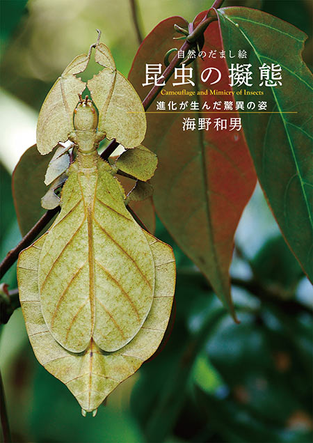 写真集「昆虫の擬態」