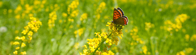 32:9の写真を撮る