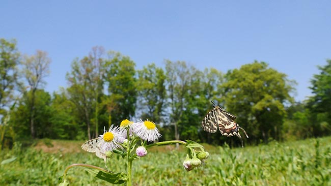 ４Kフォトで技術研修会