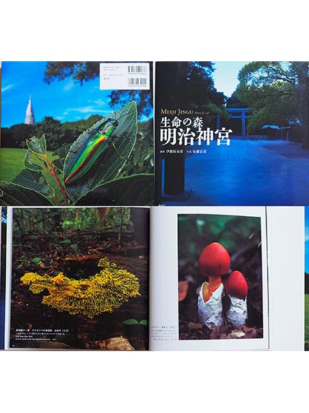 写真集「生命の森明治神宮」