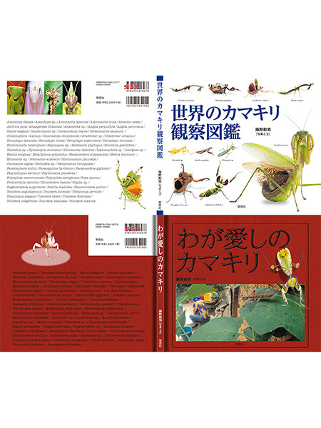 「世界のカマキリ観察図鑑」