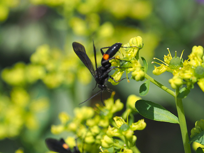 今日から北海道へ