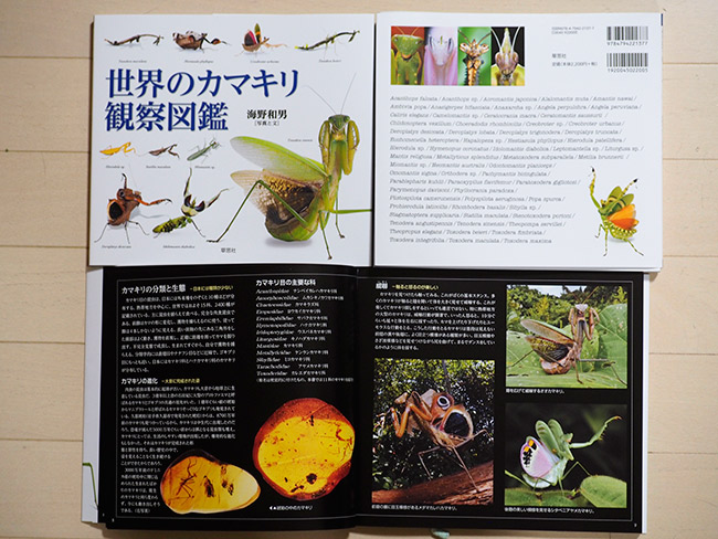 世界のカマキリ観察図鑑　発売