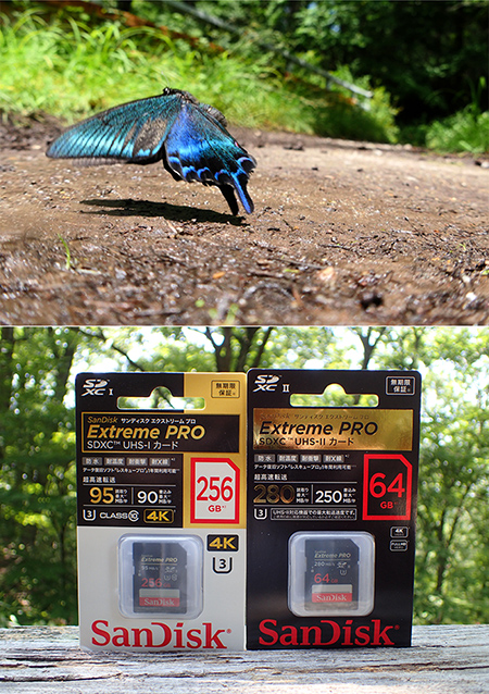 最新のメモリーカード