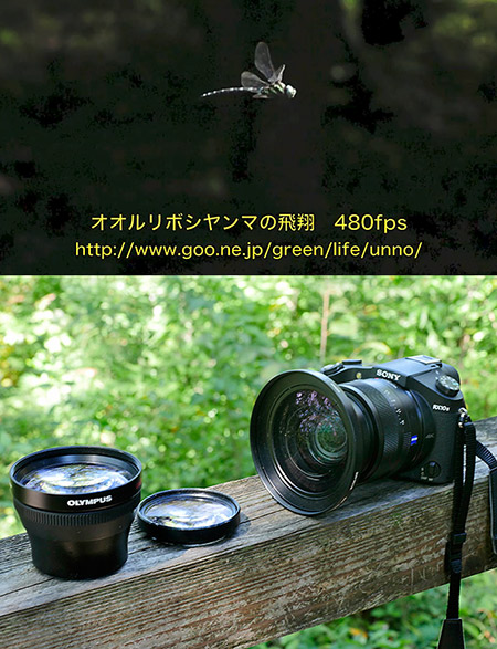 ソニーRX10 Ⅱレポート