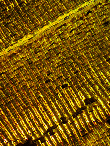 Yasuhara Nanoha　４〜５X