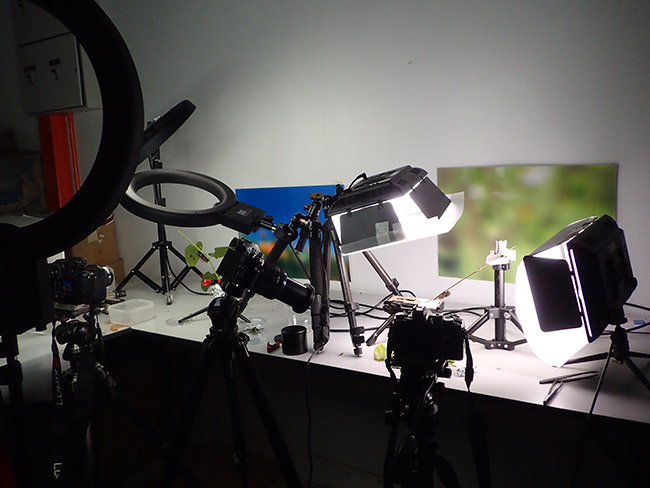 背水の陣で自動撮影